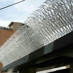 حفاظ شاخ گوزنی در آبادان
