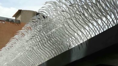 حفاظ شاخ گوزنی در آبادان