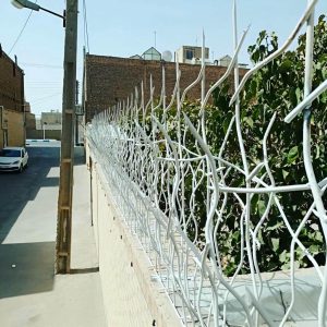 حفاظ شاخ گوزنی در ایلام