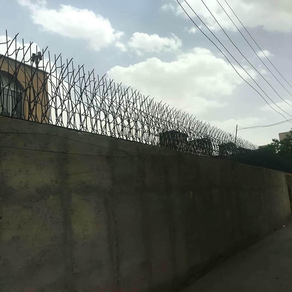 حفاظ شاخ گوزنی در استان گلستان