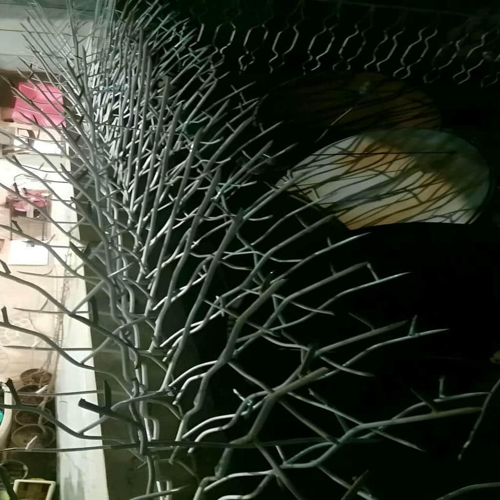 کارخانه حفاظ شاخ گوزنی مهاربندی دقیق در رشت کارخانه حفاظ شاخ گوزنی مهاربندی دقیق در رشت
