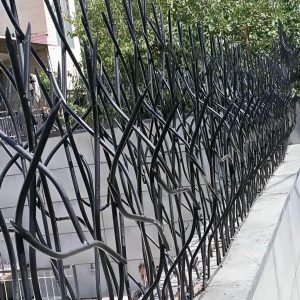 حفاظ شاخ گوزنی در بندر انزلی