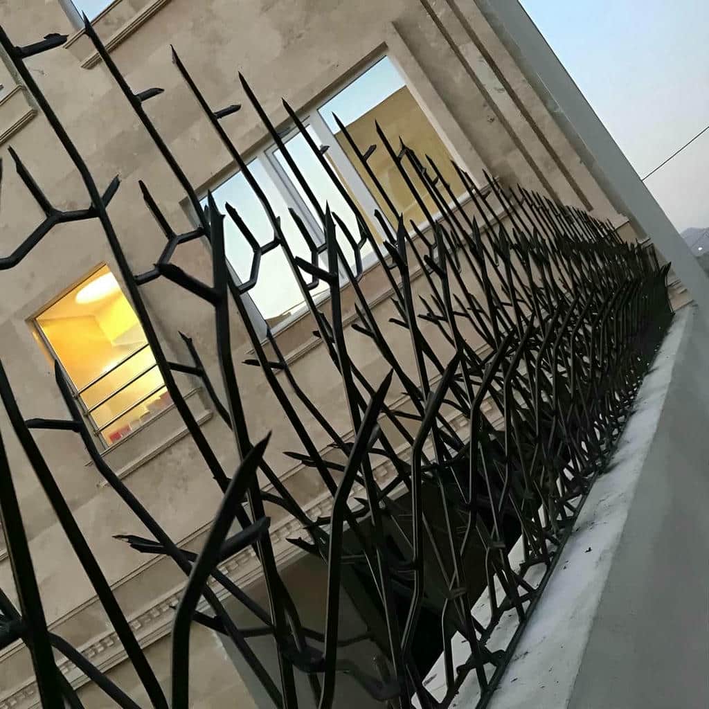 خرید حفاظ شاخ گوزنی متراکم در محمدشهر
