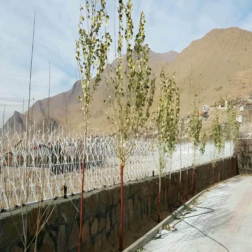 فروش حفاظ شاخ گوزنی فولادی در سبزوار فروش حفاظ شاخ گوزنی فولادی در سبزوار