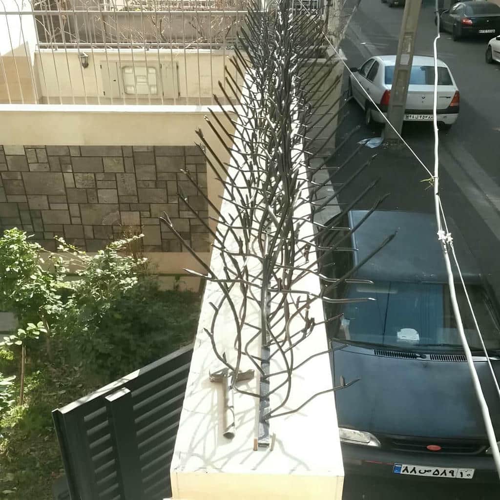خرید حفاظ شاخ گوزنی ترکیبی در فشم
