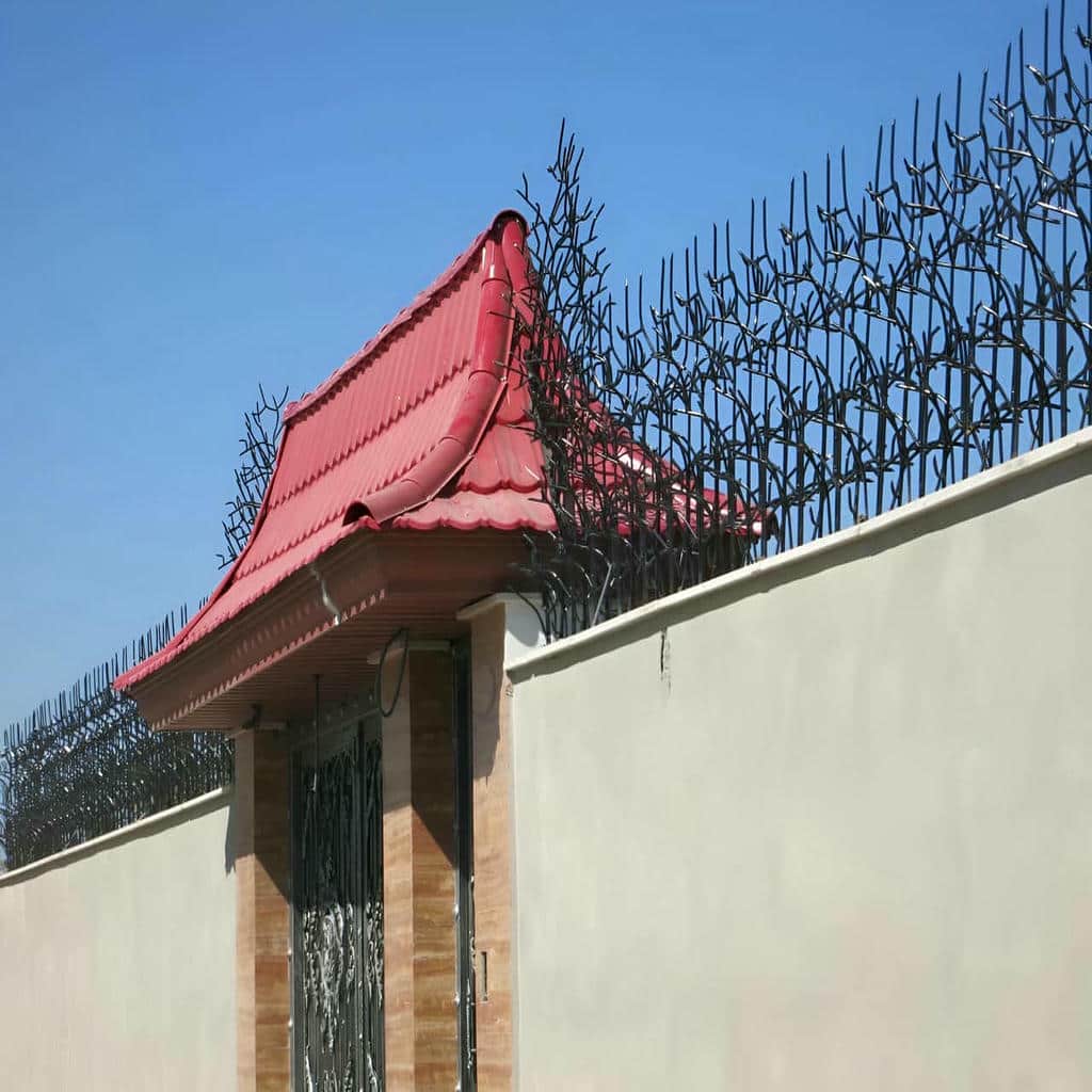 کارخانه حفاظ شاخ گوزنی مقاوم در سمنان کارخانه حفاظ شاخ گوزنی مقاوم در سمنان