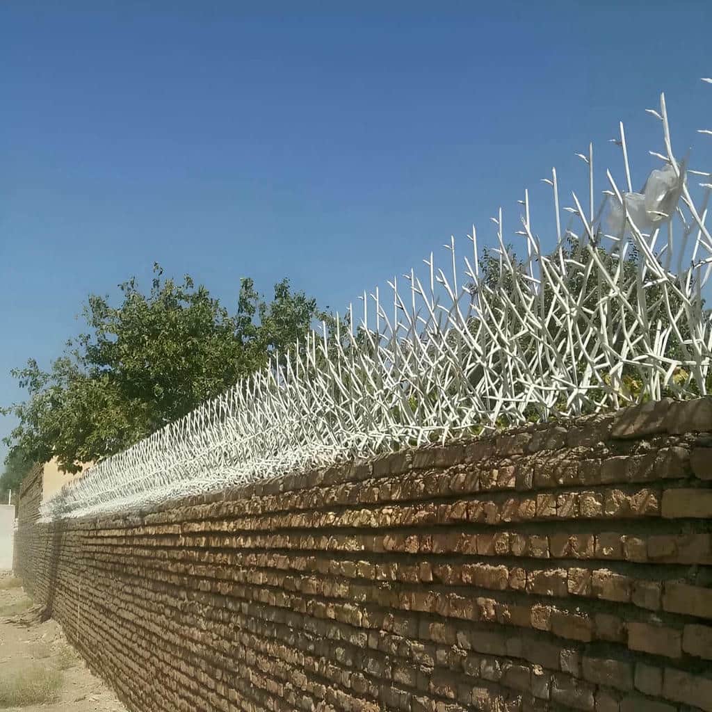 حفاظ شاخ گوزنی در بندر ماهشهر