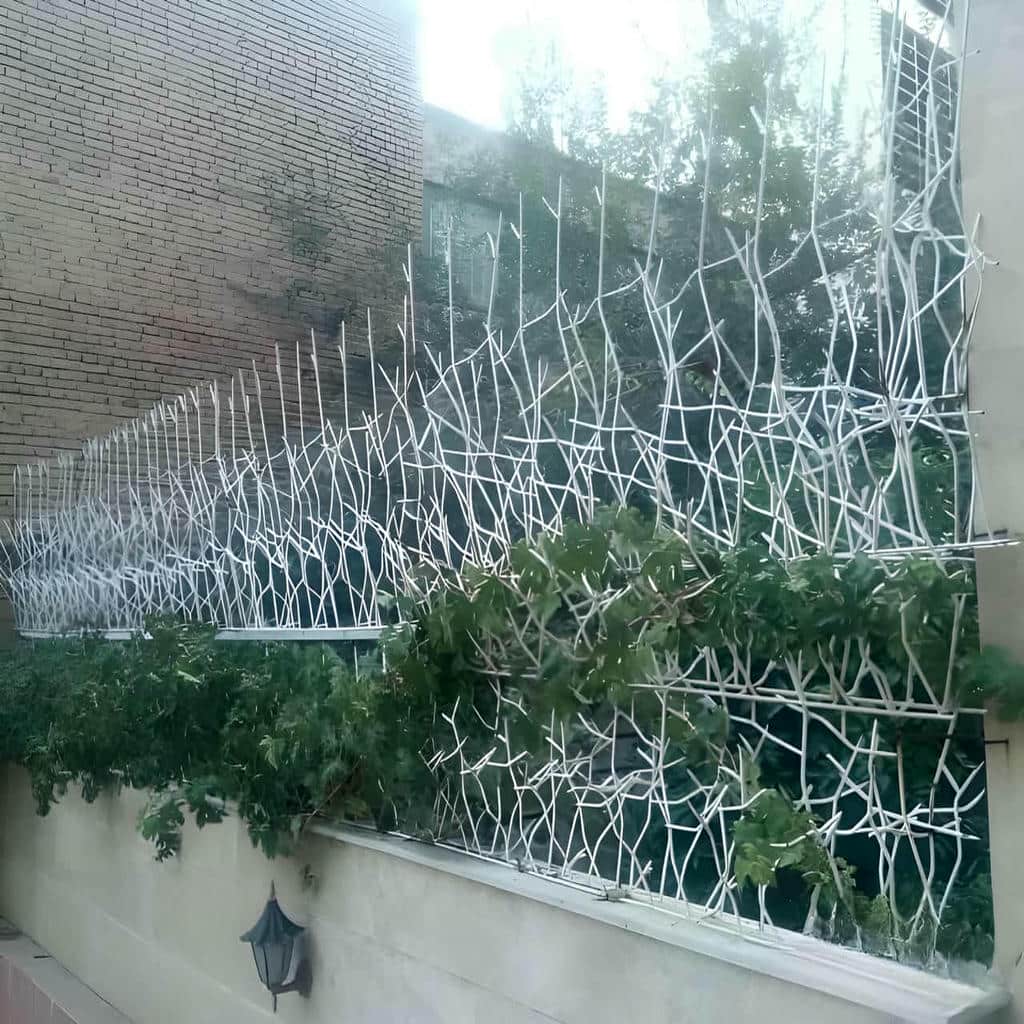 کارخانه حفاظ شاخ گوزنی صنعتی در خرم آباد