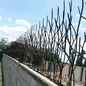 حفاظ شاخ گوزنی در ملارد