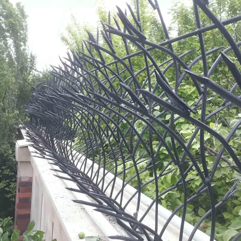 کارخانه حفاظ شاخ گوزنی ضدزنگ در بندر ماهشهر