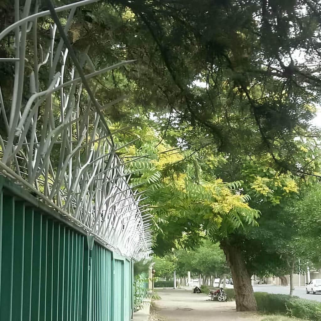 خرید حفاظ شاخ گوزنی طراحی شده در پرند