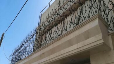 حفاظ شاخ گوزنی در فردیس کرج