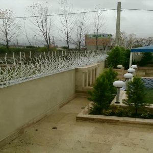 حفاظ شاخ گوزنی در آبسرد