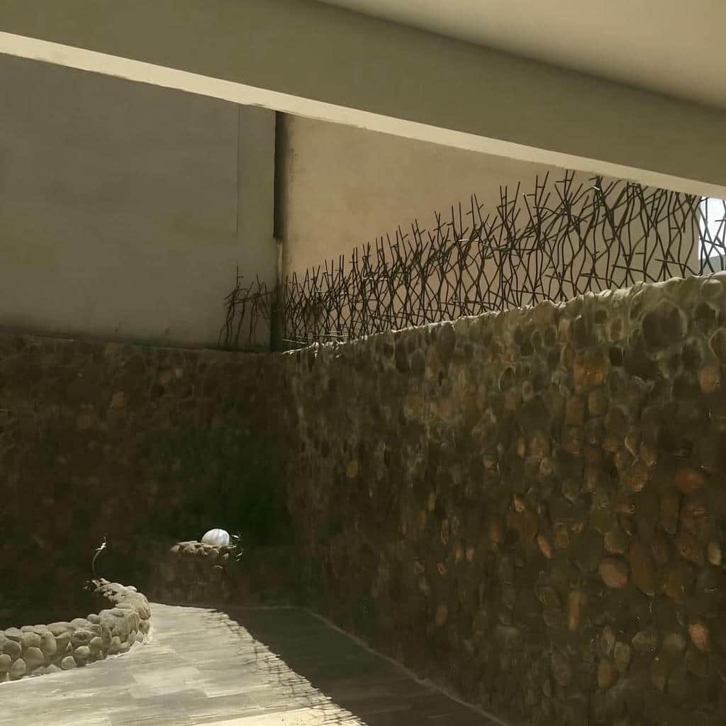 حفاظ شاخ گوزنی در همدان
