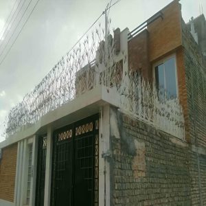 حفاظ شاخ گوزنی در کرمانشاه