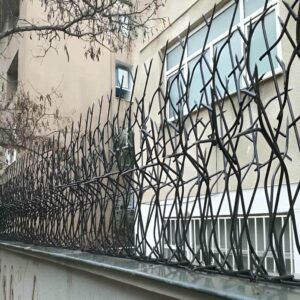 حفاظ شاخ گوزنی در عظیمیه کرج