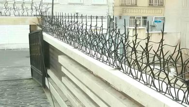 حفاظ شاخ گوزنی در ساوه