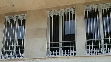 window-guard-iron-fence-wrought-iron-ags