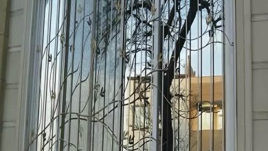 window-guard-iron-fence-wrought-iron-ia