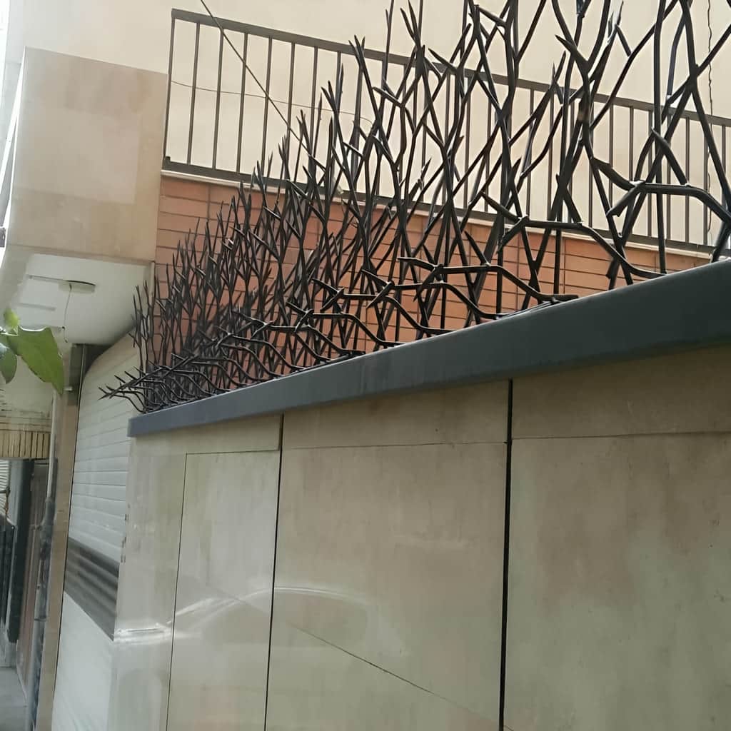 حفاظ روی دیوار با شاخه های تیز بازدارنده