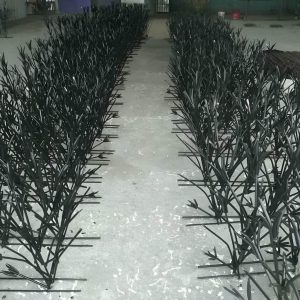 حفاظ شاخ گوزنی خاردار برای افزایش امنیت دیوار