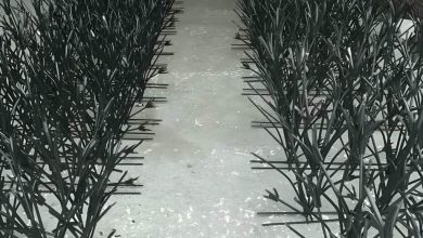 حفاظ شاخ گوزنی خاردار برای افزایش امنیت دیوار