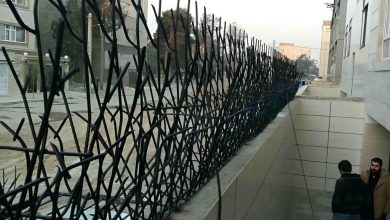 انتخاب بهترین حفاظ روی دیوار خانه، ویلا و باغ