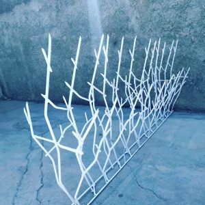 مقایسه انتخاب حفاظ شاخ گوزنی و سرنیزه ای