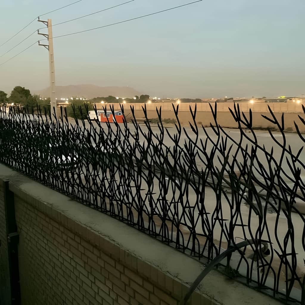 فروش حفاظ بوته ای پرتراکم برای حفظ حریم
