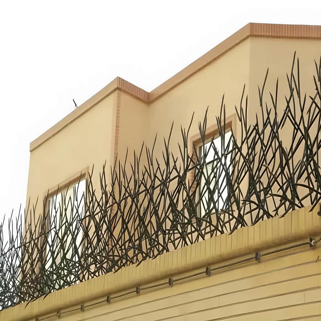 حفاظ بوته ای دیوار سه بعدی برای امنیت بیشتر