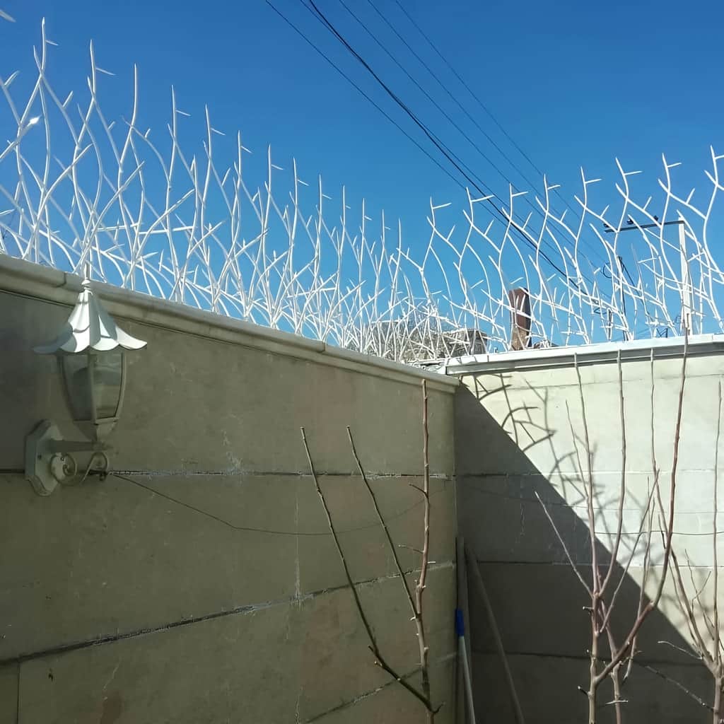حفاظ شاخ گوزنی پرتراکم برای آرامش بیشتر