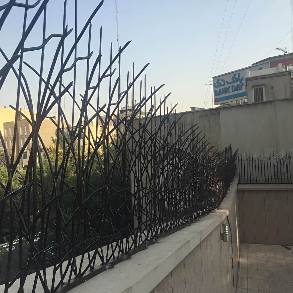 نصب حفاظ نیزار پرتراکم روی تاج دیوار باغ