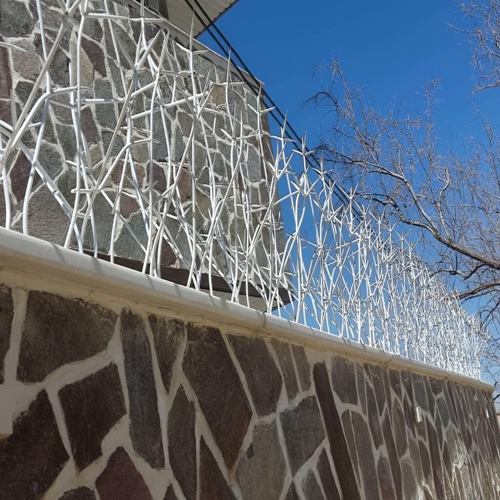 قیمت حفاظ شاخ گوزنی امنیتی با تراکم مطمئن