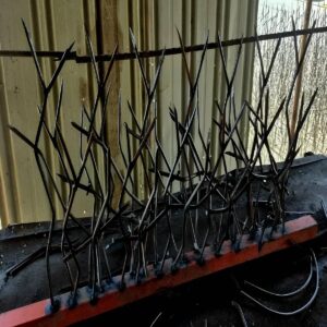 8 طرح حفاظ شاخ گوزنی دیوار باغ ویلا