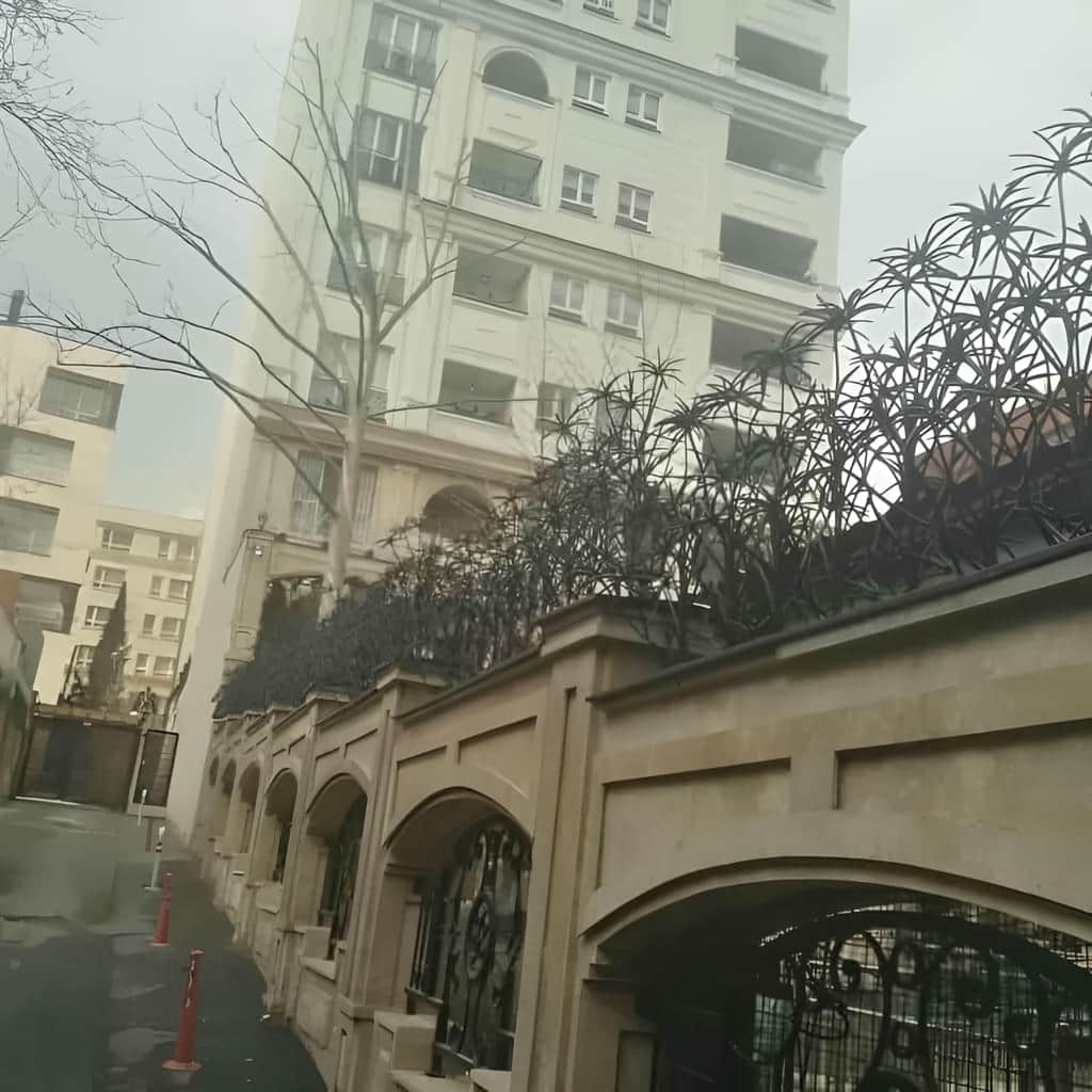 حفاظ نخل مرداب با طراحی برگ مانند