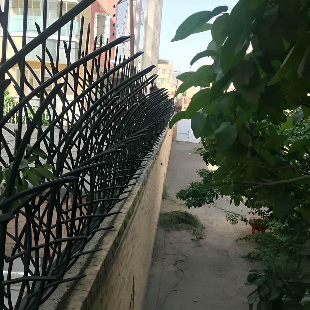 حفاظ نیزار شاخه ای