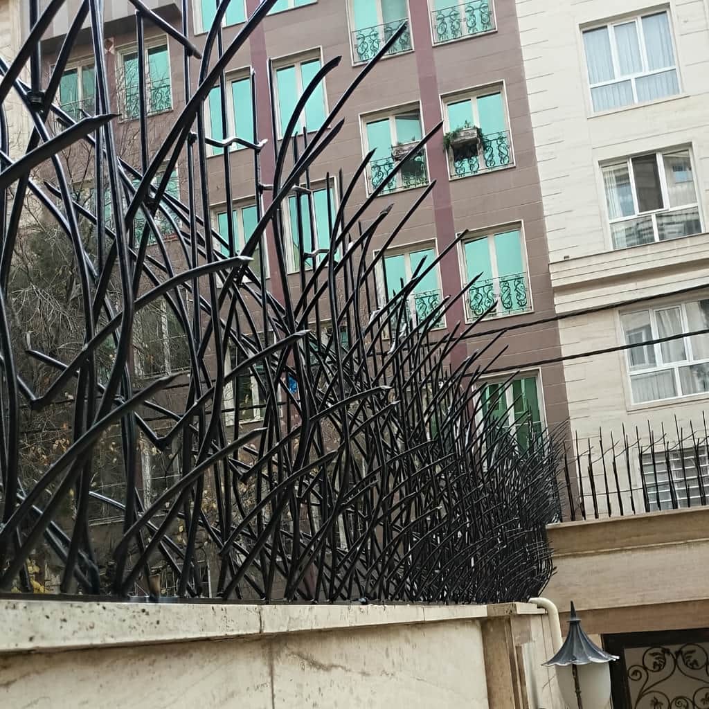 حفاظ نیزار در محوطه پروژه نوساز