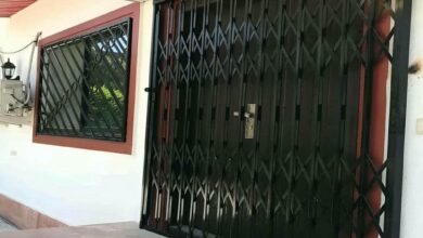 حفاظ ضربدری آکاردئونی فلزی ورودی قدیمی