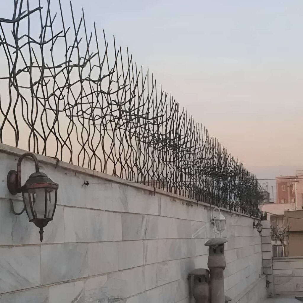 حفاظ شاخ گوزنی نمای ساختمان