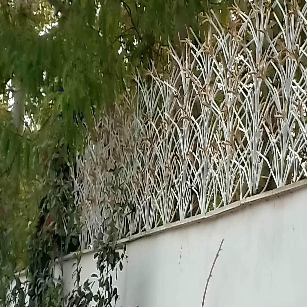 حفاظ دیوار لیلیوم