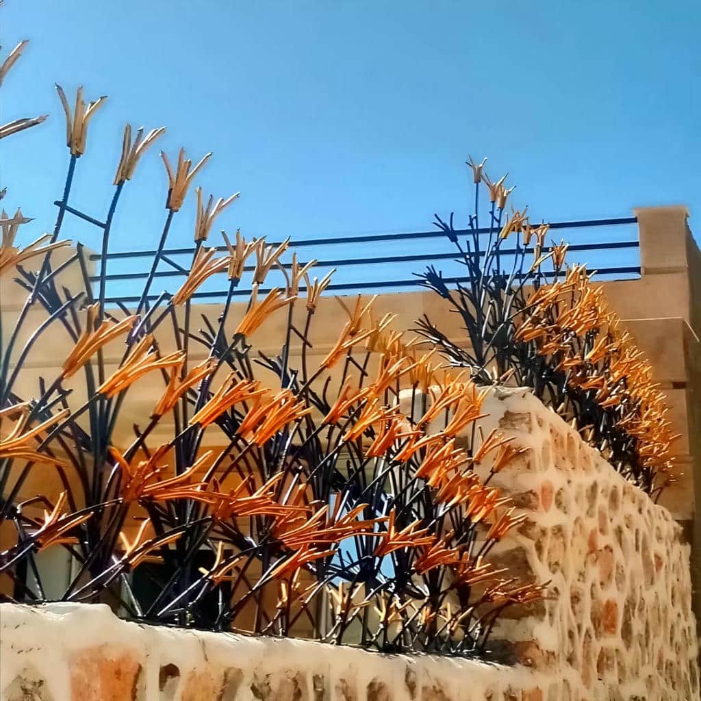 طرح منحنی حفاظ لیلیوم