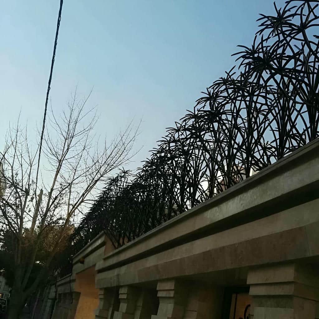 حفاظ نخل مرداب با پوشش رنگ