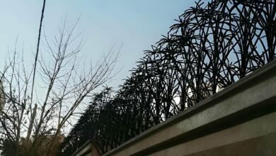 حفاظ نخل مرداب فلزی با شاخه های خمیده