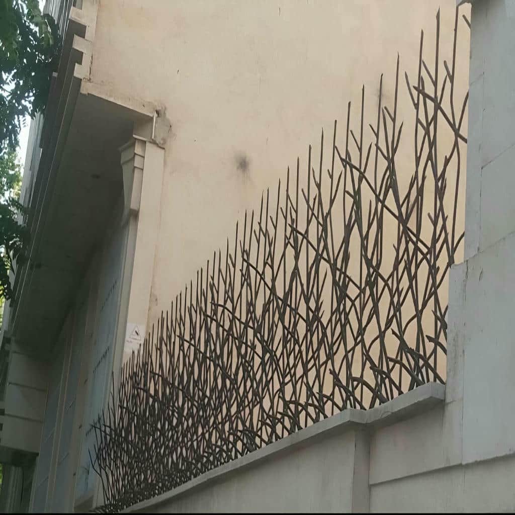 نرده روی دیوار با شاخه های متراکم در همدان